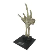 Universal Monsters - Fossilized Creature Hand Scaled Prop Replica