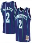 Mitchell Ness Larry Johnson Hornets Swingman Alternate Jersey 94-95 Mens Size M