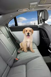 Pet Car Door Protectors - Protects Door from Dirt, Scratches & More #2911