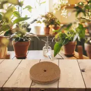 Coconut Shell Mulch Rings Designed to Help Retain Soil Moisture Efficiently