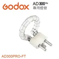 在飛比找樂天市場購物網優惠-【EC數位】Godox 神牛 AD300pro 閃光燈 AD