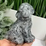 Larvikite Norwegian Moonstone Dog Labrador Puppy Animal Crystal Carving 436g