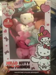 2025 Boxed Hello Kitty & Friends Plush Valentines Bouquet My Melody Cinnamoroll
