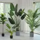 免運 仿真植物旅人蕉假綠植盆栽擺件大室內花天堂鳥樹客廳北歐植物裝飾