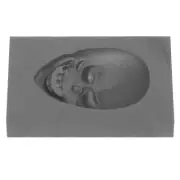 Casting Mold for Silver Melting Fondant Skull Decoration Plant