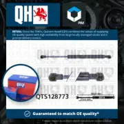 Boot Gas Strut fits FIAT PANDA 169AXE1B 1.4 2006 on 169A3.000 Spring Lift QH New