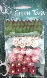 Antique Pink Mimosas (MimAP)
