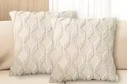 2 Pcs Faux Wool Throw Pillow Covers 16x16 Inches (40 x 40cm) Decorative Farmhouse Velvet Couch Pillow Case Soft Plush Square Boho Cushion Pillowcase, Beige