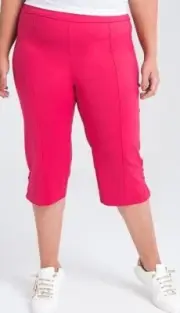 TS shorts TAKING SHAPE plus sz XL / 24 Walk Around Short pink stretch comfy NWT