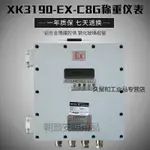 【廠家直銷 下單咨詢客服】防爆儀表XK390-EX-C8G石油化學工業電氣產品防爆儀表