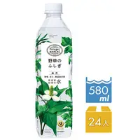 在飛比找PChome商店街優惠-【菠啾花園】菠啾野草水 580mlx24瓶/箱 (植物鹼性水