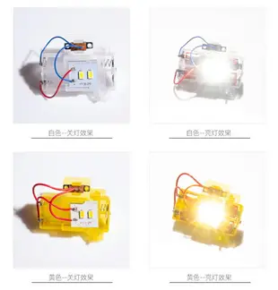 燈籠專用LED燈插電款電池款 紅色 黃色 白色