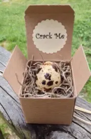 Crack Me! Pregnancy Announcement Quail Egg - The Special Note Is In The Egg!