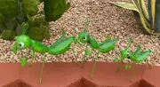 Metal Set of 3 Praying Mantis / Grasshopper Yard Art Garden Decor