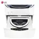 LG 樂金 WT-D250HW 洗衣機 滾筒 溫水 洗脫 2.5公斤