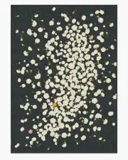 305' x 425' | Machine Washable Runner Rug | Kid & Pet Friendly | Indoor Rug | Fluttering Carnations Charcoal & Ivory Flatwoven Rug by The Local Project | Ruggable