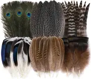 48Pcs Natural Feathers Bulk - 6 Styles 48Pcs Assorted Natural Feathers, Peacock