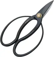 Senkichi Gold Bonsai Ikebana Okubo Shears Scissors 180mm