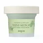 SKINFOOD Shine Muscat Cica BHA Food Mask 120g #dau