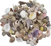 Indian Mix Assorted Craft Seashells Tiny up to .25" (1 Kilo) (appx. 3000 pc)