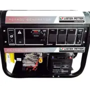 LPP6.0RE (FPG8800E2) Lister Petter Petrol Generator 6.0kVA 50Hz