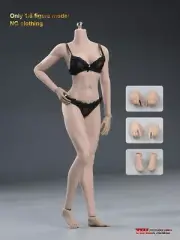 1/6 Seamless Female Body Tbleague Phicen Suntan Skin Action Figure For 12" Doll