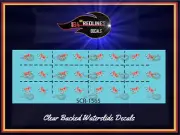 1/64 Fast & Furious "F-Bomb" Decal SCR-1565
