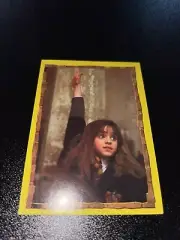 Harry Potter: Hermione Granger/Emma Watson Italian Panini Stickers (Pick 5)