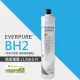 【EVERPURE】BH2活性碳濾芯/BH-2平行輸入濾芯(★享黑水保固)