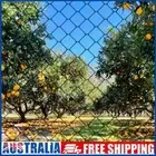 # Nylon Bird Netting Chicken Coop Netting 25 X 50 FT for Fruit Trees Plants