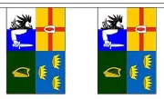 4 PROVINCES 18m BUNTING 30 flags flag IRISH MUNSTER LEINSTER CONNACHT ULSTER
