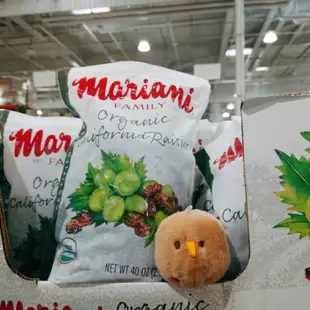 COSTCO 美國 Mariani 葡萄乾 1.13 公斤 Raisins 綠葡萄 加州葡萄 無籽葡萄 無色素 無香料