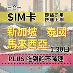 SIM卡 新馬泰上網 真吃到飽不降速 東南亞吃到飽上網卡 馬來西亞上網卡 新加坡上網卡