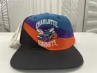 Rare Vintage Charlotte Hornets Starter NBA Snapback Sports Hat Cap