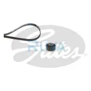 Fits Renault Clio 1998-2014 1.0 1.1 1.2 Ruva Alternator Belt Kit #2 7701477537