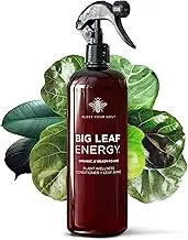 Big Leaf Energy : Plastic Bottle : Wellness Spray for Indoor Plants : Natural Leaf Shine & Protect with Organic Neem & Essential Oils (16OZ)