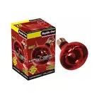 Reptile One Reptile Infrared Halogen Heat Lamp 42W