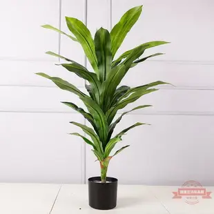 仿真巴西鐵樹 客廳裝飾仿真植物盆栽 龍血鐵樹 櫥窗裝飾綠植盆栽