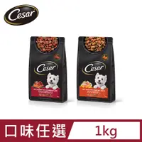 在飛比找PChome24h購物優惠-【Cesar西莎】狗乾糧 1kg 寵物/狗飼料/狗食