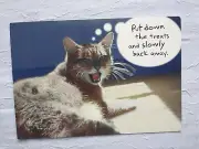 Funny Friendship CAT Card From Hell Hallmark Vintage Animal Comical Pet Love