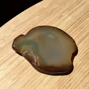 Agate Geode Slice Cut Polished Face Pitted Rock Back Natural Brown Crystal 4.5"