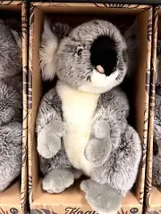 Realistic Plush Koala Bear 35cm 14 inch Australia Gift Stuffed Animal