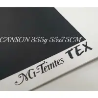 在飛比找蝦皮購物優惠-CANSON Mi-Teintes TEX 355g 55x
