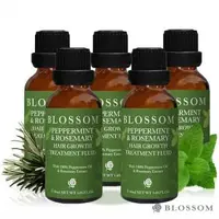 在飛比找森森購物網優惠-BLOSSOM 薄荷迷迭香植萃調理養髮液50ML*5件組