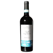 2019 Gabriele Scaglione Barbera d'Alba DOC - Buy Online | The Wine Collective Marketplace