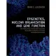 Epigenetics, Nuclear Organization & Gene Function: With Implications of Epigenetic Regulation and Genetic Architecture for Human Development and Healt