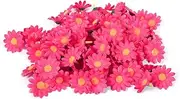 11 Colors 100PCS Artificial Gerbera Daisy Fabric Flower Head Wedding Party DIY Decoration Craft (Fuchsia)