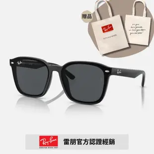 【RayBan 雷朋】膠框太陽眼鏡(RB4392D-601/87)