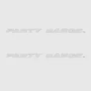 Tracker Boat Party Barge Decal | Gray (Pair)