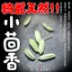 柳丁愛 小茴香100g【A165】